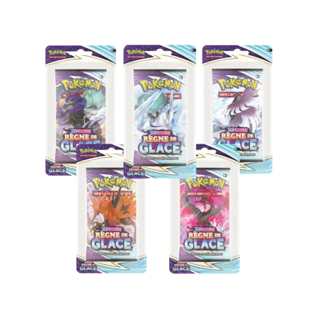 EB06 Règne de Glace - Art Set 5 Blisters FR TCG | NK